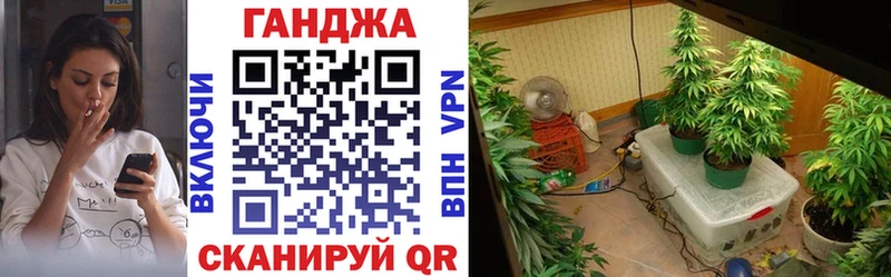 Купить наркотик Нижняя Тура Конопля  МДМА  ГАШ  Псилоцибиновые грибы  Cocaine  Вейп ТГК  Амфетамин 