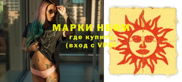 сатива Новодвинск