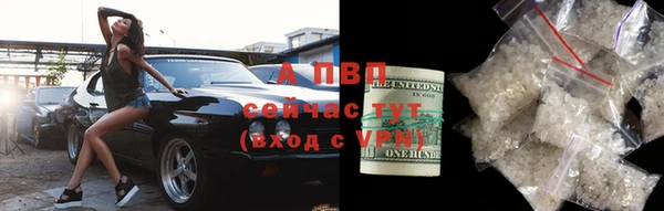 сатива Новодвинск