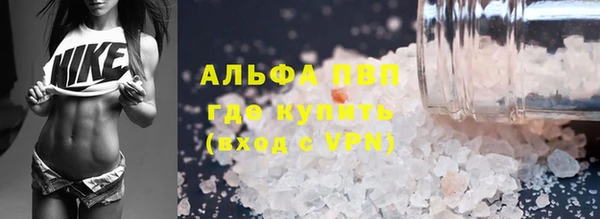 мдпв Новозыбков