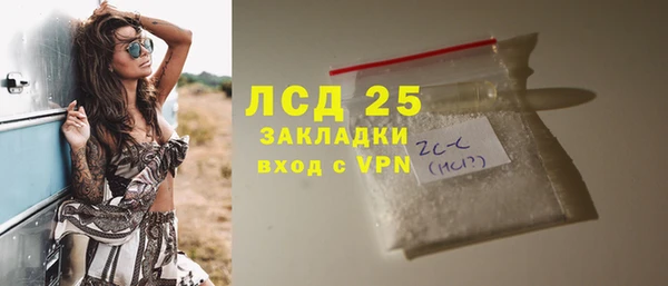 сатива Новодвинск