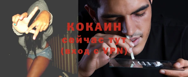 мдпв Новозыбков
