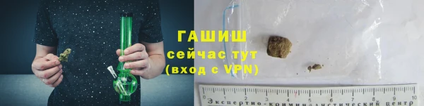 сатива Новодвинск