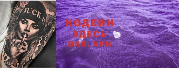 мдпв Новозыбков