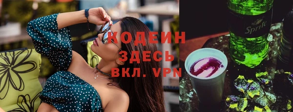 сатива Новодвинск