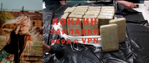 мдпв Новозыбков